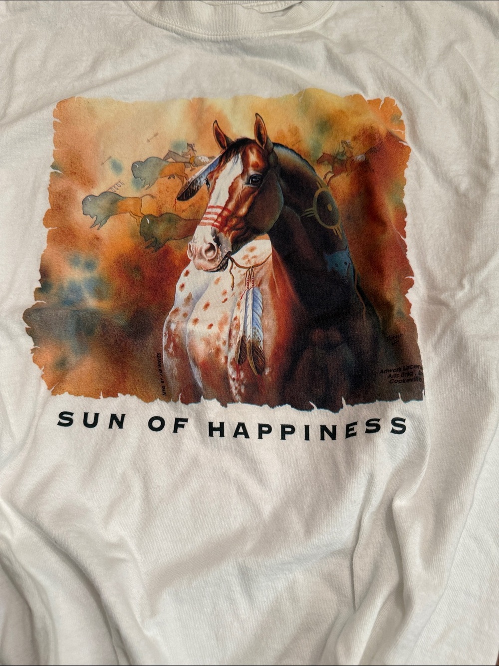 Vintage Anvil Native American Horse Graphic T-Shirt Sun of Happiness Medium